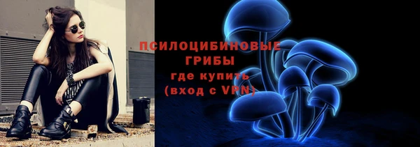 прущая мука Осинники