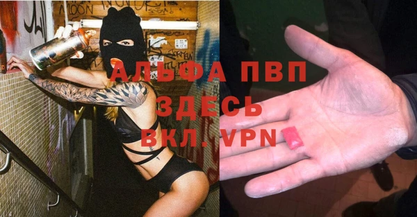 индика Всеволожск