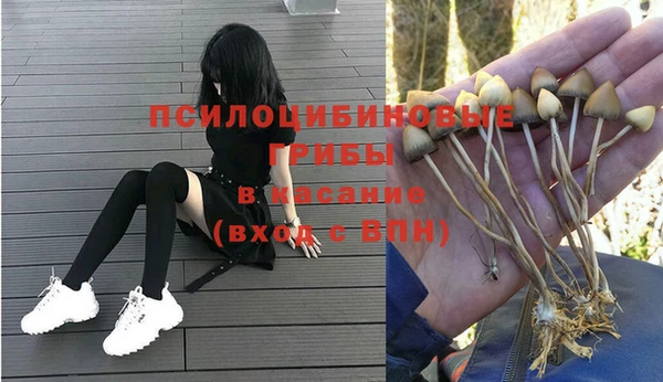 мет Нягань