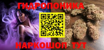 прущие грибы Дубна