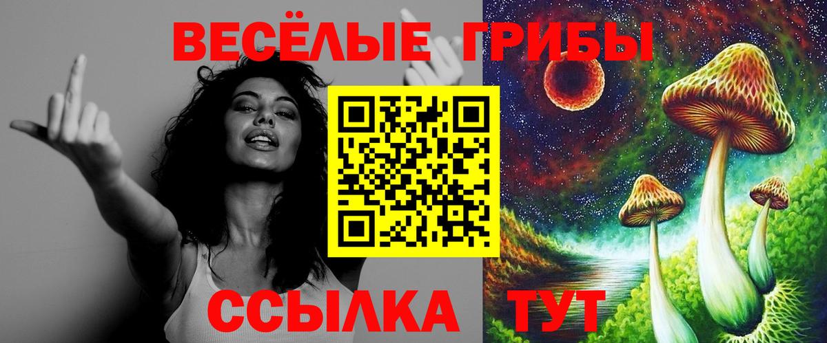 Псилоцибиновые грибы Cubensis Ишим