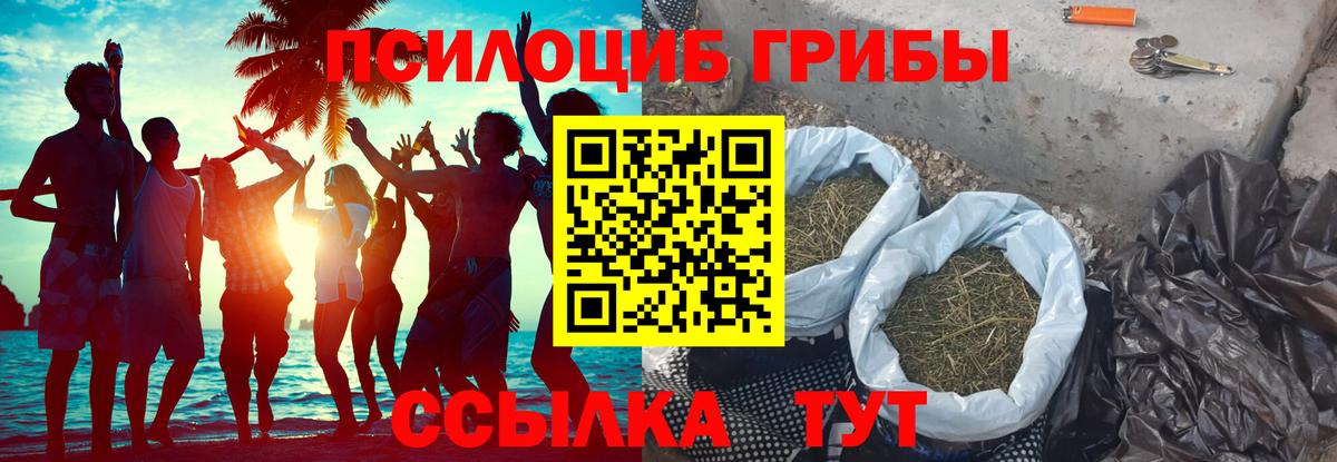 цена наркотик  Псилоцибиновые грибы мицелий  Вход с VPN  Ишим 