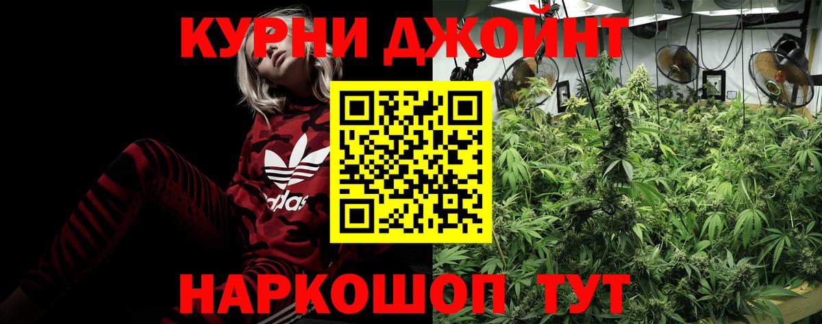 Каннабис сатива  Вход с VPN  Ишим  Канабис MAZAR  Канабис планчик 